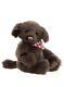 Charlie Bears Boomerang 2022 Teddy Bear Puppy Plush Collectable Cuddly