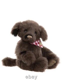 Charlie Bears Boomerang 2022 Teddy Bear Puppy Plush Collectable Cuddly