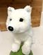 Douglas Cuddle Samoyed Or White Wolf Dog Puppy Plush Stuffed Animal 16 Long