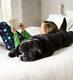 Giant Plush Black Labrador Toy Dog Retriever Body Pillow Soft Stuffed Animal Lab