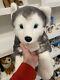 Husky Dog Plush Toy