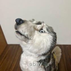 JOCKLINE Siberian husky Dog Plush Sitting style Animal Goods JP