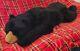 Large Jumbo Black Bear Body Pillow Lifelike Soft Plush Animal 48 L Giant Toy