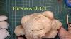 Restoring My Childhood Teddy Bear Stuffed Animal Restoration
