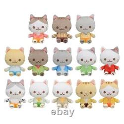 SEVENTEEN ANIMAL COORDY Mini Plush Stuffed Toy Doll SECTOR17 All 13 Types Set