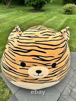 Squishmallows 24 Tiger Tina The Stuffed Animal Plush Toy RARE