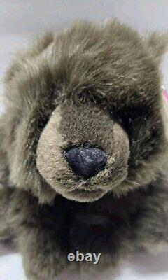 Swibco 1998 Baby Gunther Brown Bear Stuffed Animal Plush 12 HTF RARE With Tag