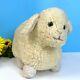 Very Rare Vintage Eden Sheep Lamb 13 Plush Stuffed Animal Toy