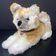 Vintage Steiff Akita Dog Plush Realistic 17 Stuffed Animal Laying Down Collar