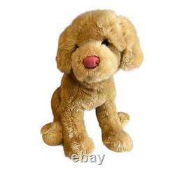 Douglas Peluche Chien Golden Retriever Miel en Peluche