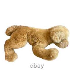 Douglas Peluche Chien Golden Retriever Miel en Peluche