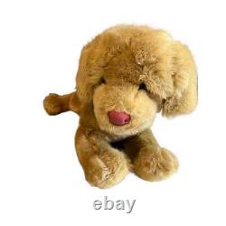 Douglas Peluche Chien Golden Retriever Miel en Peluche