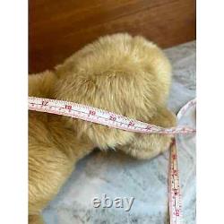 Douglas Peluche Chien Golden Retriever Miel en Peluche