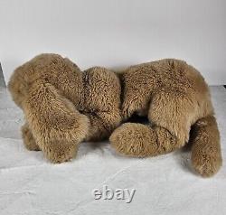 GUND Grand 36 Vtg 1985 Muttsy Retriever chiot chien en peluche jouet en peluche