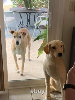 Labrador jaune réaliste en peluche de 30 pouces jouet pour enfant