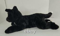 Rare Warrior Cats Ravenpaw 14 En Peluche Chat Noir Avec Les Yeux Verts