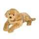 Sherman Le Chien En Peluche Golden Retriever Animal En Peluche Douglas Cuddle Toys #2459