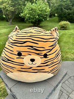 Squishmallows 24 Tigre Tina La Peluche Jouet en Peluche RARE